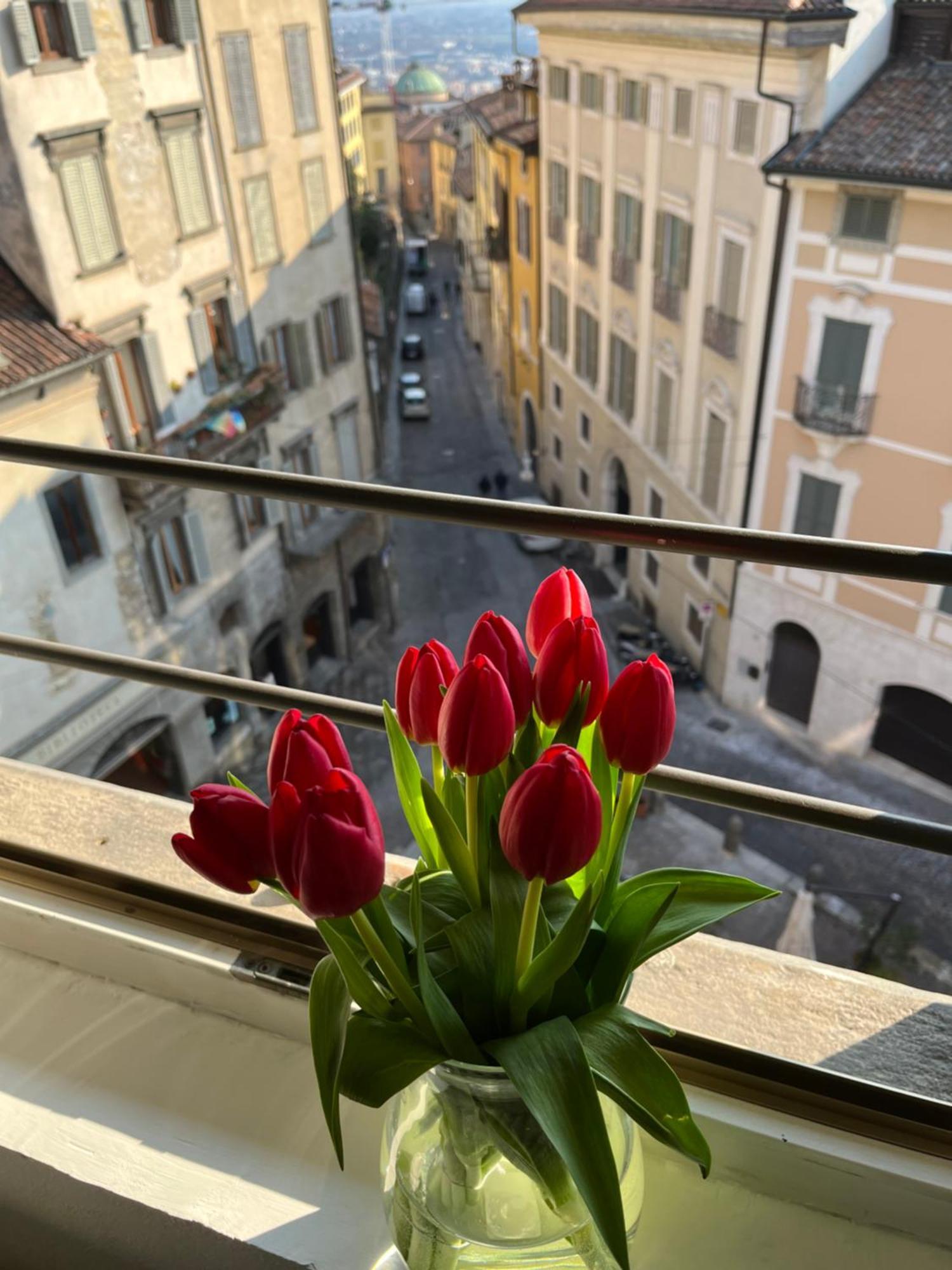 Casa Vacanze Funicolare Bergamo Exteriér fotografie